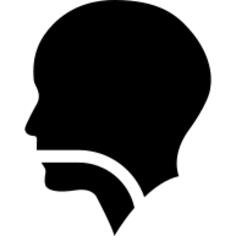 Human head silhouette with a line in mouth pharynx and larynx