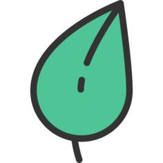 Leaf