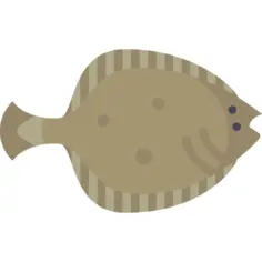 Flounder