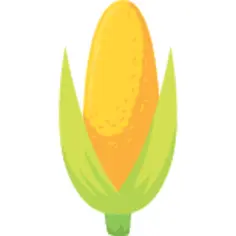 Corn