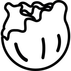 Cabbage