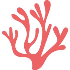 Seaweed