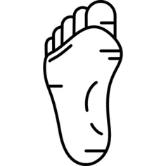 Human Foot