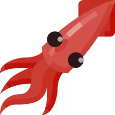Squid