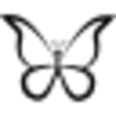 Butterfly outline design from top view