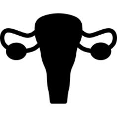 Female Reproduction System