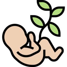 Embryo
