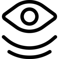 Eye
