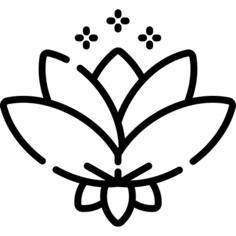 Lotus flower