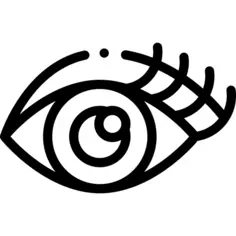 Eye