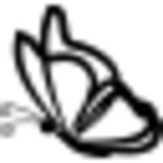 Butterfly with transparent wings outlines from side view