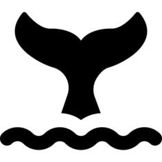 Whale