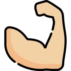 Muscle