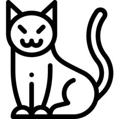 Black cat