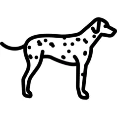 Dalmatian
