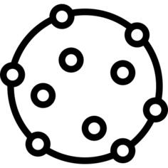 Bacteria