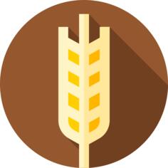 Wheat