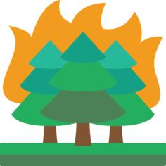 Forest fire