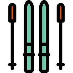 Ski