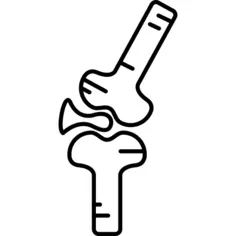 Bones Joint