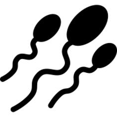 Three Sperms