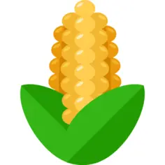 Corn
