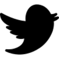 Twitter social network logo