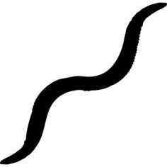 Earthworm shape