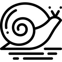 Snail