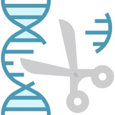 Gene