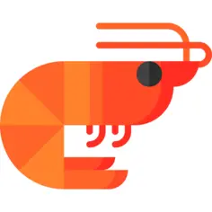 Shrimp