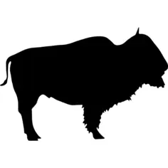 Buffalo wild beast silhouette