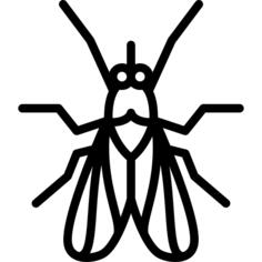 Fly