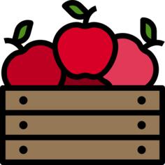 Fruit