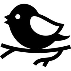 Bird on branch