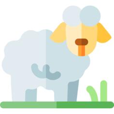 Lamb