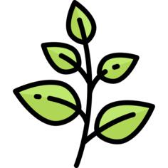 Herb