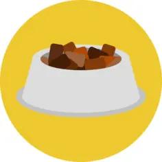 Dog food