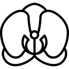 Orchid