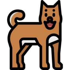 Shiba