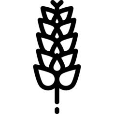 Gluten