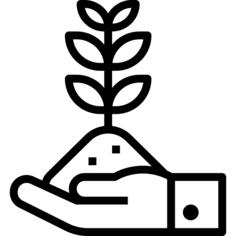 Growth
