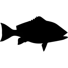 Fish shape of Red snapper