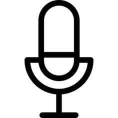 Record voice button