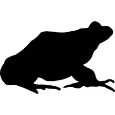 Frog shape