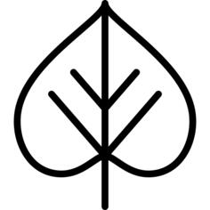 Cercis