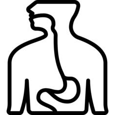 Esophagus