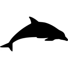 Dolphin mammal animal silhouette