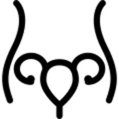 Uterus and Fallopian tube inside woman body outline