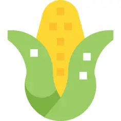 Corn